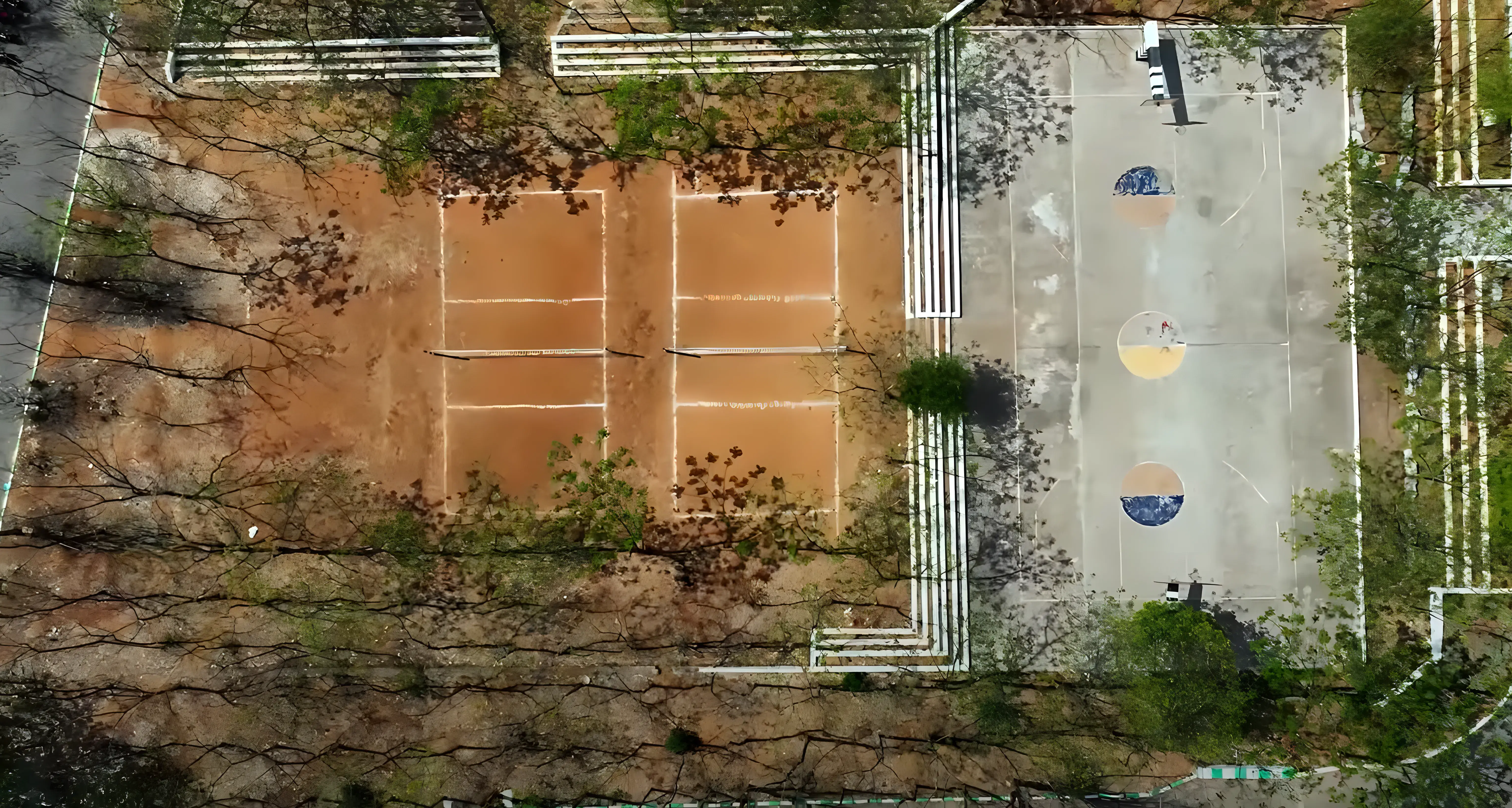 AVNIET sports photo 3